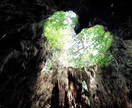 大人の発達障害や夜職の相談聞きます 大人のADHDや躁鬱などの心や夜職などの個性の相談に乗ります イメージ2