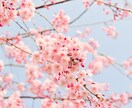 全ての人を受け入れます 少し話したい方からしっかり話したい方まで、お話し伺います。 イメージ3