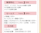 SNSマーケッターが高品質な集客記事を作成します SNS運用・ブログ集客・LINE、メルマガ文章お任せください イメージ2