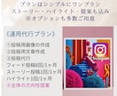 フォロワー7億のチームがインスタグラム運用致します 実績1200件/効果のある本物の運用代行を求める方へ/NEW イメージ8