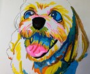 愛するペットちゃんを描きます カラフルうちの子似顔絵イラスト イメージ4