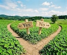 YES/NO or 選択肢の中でどれ？に回答します ご質問１０個✤その迷いや選択✤守護霊様に繋がってお答えします イメージ1