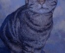 主に猫を油絵で写実的に描きます 愛猫がずっと貴方と共にあります。 イメージ6