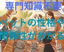 アニマルコミュニケーター用スマホアプリ作ります 誰でも簡単にコミュニケーターになってペット気持ちを理解 イメージ1
