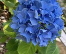 周りの人に話せない、なんでも聞きます パンクしたら進めません(*´꒳`*)パンクする前に！ イメージ1
