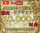 You Tube日本人登録者を増やします 登録者増加で注目度をアップしませんか？ イメージ2