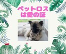 ペットロスの悲しみに寄り添います 喪失の悲しみを出会えた感謝に変えませんか。 イメージ1