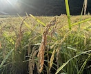 初回限定価格　体験談から移住の不安に答えします 移住に興味ある方へ、体験談を交え疑問や不安を丁寧にサポート イメージ2