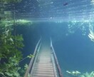 心を軽くする偉人たちの名言を贈ります 悩み事がある方、言葉の力で心が軽くなります。 イメージ1