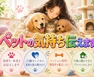 ペット占い│言葉にできないその子の想いを視ます 【限定価格】うちの子は今、何を感じているの？色から視る本音 イメージ1