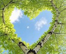 お子さまの気持ちをタロットで潜在意識から紐解きます どうすればいいの？お子さまが望んでいることを一緒に考えます イメージ2