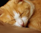 爽やか青年ボイスをご提供いたします 養成所生徒だから出来る格安提供！ イメージ2