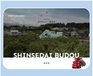 予算・スケジュールに応じて、Webサイト作ります 低コストでWebサイトを作りたい方、ご相談ください！ イメージ3