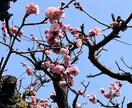 共に歩む傾聴サービスで叫びと声を、心を受け止めます しんどい時には少し止まってお話ししてみませんか？ イメージ3