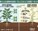 元JA指導員が家庭菜園の野菜作りを支援します ネットの情報に頼らない。植物生理に基づきあなたの畑を診断。 イメージ1