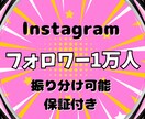 Instagramフォロワー1万人以上増やします ＼1フォロワー1円／コスパ最強で掴む影響力と収益化も可能です イメージ7