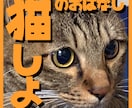 猫ちゃんの自慢話やお悩みをお聞きします 猫の話をただ聞いてほしい！そんな願いを叶えます！ イメージ1