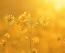 新年を最高の流れに｜開運ヒーリングします エネルギーの活性化｜開運｜古いエネルギーの浄化 イメージ11