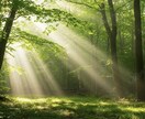 引き寄せ×電話相談　今の流れを整え現実を動かします モヤモヤを言語化し、気持ちと現実を整えてみませんか？ イメージ5