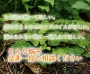 理屈じゃないその悩みに真摯に耳を傾けます 中性的な21歳男子があなたの心に寄り添い、サポートします。 イメージ3