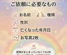 お空に帰った子とアニマルコミュニケーションします 後悔や悲しみを癒しに変えましょう。 イメージ3