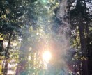 あなたの知りたいこと占います 貴方に何が必要で不必要なのか、大事なもの占います イメージ1