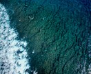 フィジーサーフ旅、西部エリアの情報シェアします 現地サーフィン＆フィジー旅情報を日本語でサポート イメージ1
