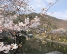 あなたの京都観光をとびっきり楽しい時間にします 学生によるゆったりまったり京都観光案内 イメージ2