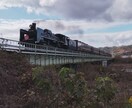 ネットを利用する物等、自由に使える写真を提供します あなたが思った通りの写真をお届けします イメージ3