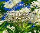 2026 夢診断 気になる夢の意味を占います あの夢は何だろう?不思議な夢や、何度も見る夢など解析します! イメージ2