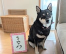 推しの名前やお好きな言葉を花文字で描きます 飾ると運気がupするといわれる、華やかな縁起物です イメージ2