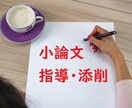 現役教師が小論文の指導・添削します 作文の苦手意識をなくし、小論文試験に勝てる力養います。 イメージ1