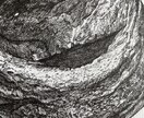 超書き込み！オシャレペン画描きます 人気カフェなどで多く実績を残した技術でペン画を提供します イメージ1