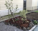 お庭づくりのアドバイスをします お庭のこと、何でも聞いてください イメージ4