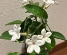 心の中のどんな気持ちでも、チャットでサポートします あなたの思い言葉にしてください。5日間お話伺います。 イメージ6