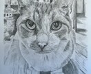 鉛筆画でペットのリアル似顔絵を手描きで作成致します 犬・猫を鉛筆で細部まで丁寧に描きます！ イメージ2
