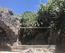 沖縄ノロ血縁者が夢占いで未来のサインを紐解きます 沖縄/琉球/ノロ/ユタ/サーダカ/霊感/第六感/霊能者/占い イメージ1