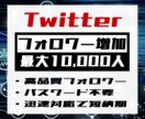 Twitterフォロワー最大10000人増やします パスワード不要で安心！迅速対応で短納期を実現！ イメージ1
