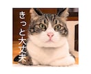 アイコンやスマホ待ち受け用の猫画像をお届けします 愛猫の可愛い写真に癒やしのメッセージを添えてデータ納品します イメージ1