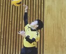 バレーボールのトレーニングや練習を伝えます 面白く、楽しく上達出来れば続けられる イメージ1