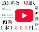 YouTube、各SNSショート動画制作致します 現役YouTuberだからこそ誠心誠意ご対応致します！ イメージ1