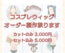 コスプレ初心者さん向け｜ウィッグオーダー受付ます 歴10年以上！現役レイヤーがお手伝いします⟡.·*. イメージ1