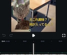 特殊な猫ミーム動画作ります 画像生成AIを使用し、オリジナル猫ミーム動画を作りましょう！ イメージ2