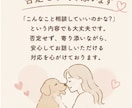 愛犬・愛猫のお悩み相談お聞きします 一人で悩まず、お気軽にご相談ください イメージ4