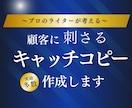 プロによる、刺さるキャッチコピーをお届けします プロのライターによる、素晴らしいネーミング・名称を。 イメージ1