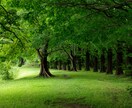 どんなお悩みでも聞いていきます 愚痴・相談何でもOKの窓口です イメージ2