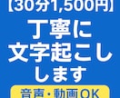 格安で文字起こし / 音声を丁寧にテキスト化します 録音や動画を丁寧に文字化します イメージ1
