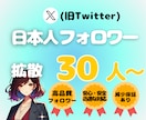 Xの日本人フォロワー30人〜増やします 高品質なX日本人フォロワーを増やします！減少保証あり。 イメージ1