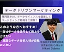 データ分析から最適なマーケティング戦略を提案します 専門家がAI、機械学習を活用してマーケティング戦略をご提案！ イメージ1