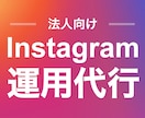 法人向け！Instagramの運用代行します プロSNSマーケターが運用！成果につなげる運用を。 イメージ1